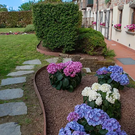 Maison Des Fleurs Herbe Aromatique